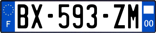 BX-593-ZM