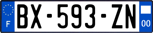 BX-593-ZN