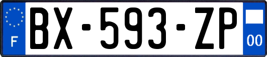 BX-593-ZP