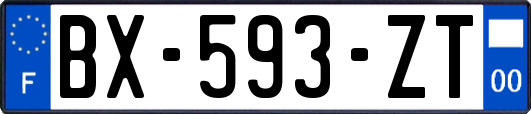 BX-593-ZT