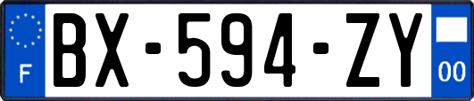 BX-594-ZY