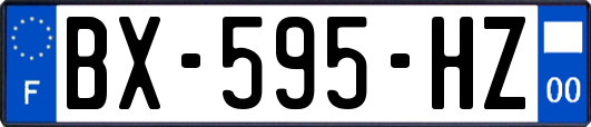 BX-595-HZ