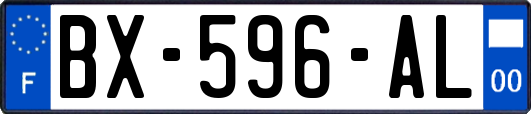 BX-596-AL