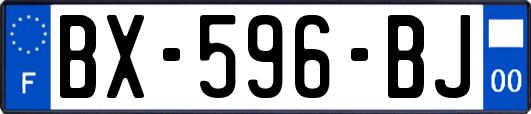 BX-596-BJ