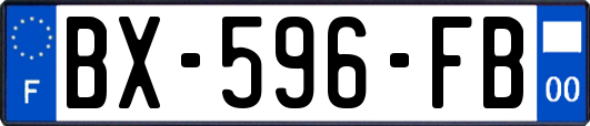 BX-596-FB