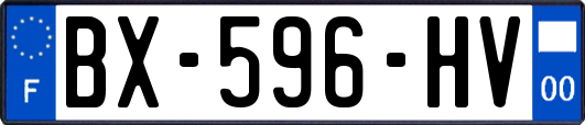 BX-596-HV