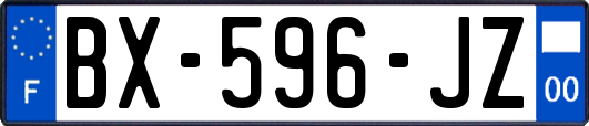 BX-596-JZ