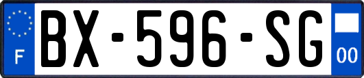 BX-596-SG