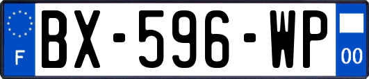 BX-596-WP