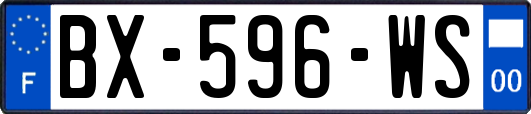 BX-596-WS