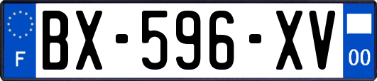 BX-596-XV