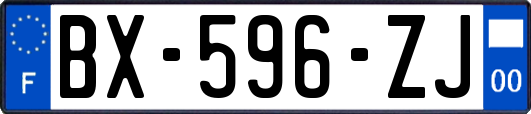 BX-596-ZJ