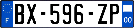 BX-596-ZP