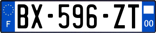 BX-596-ZT