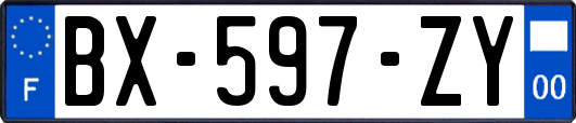 BX-597-ZY