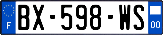 BX-598-WS