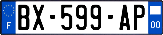 BX-599-AP