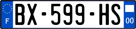 BX-599-HS