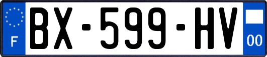 BX-599-HV