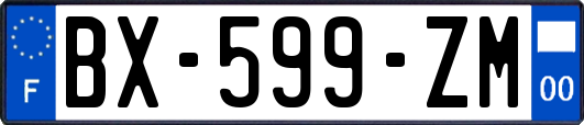 BX-599-ZM