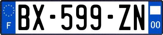 BX-599-ZN