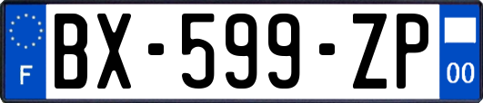 BX-599-ZP