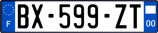 BX-599-ZT