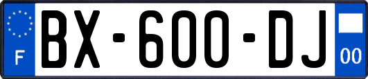 BX-600-DJ