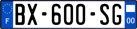 BX-600-SG