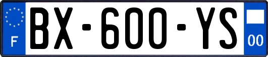 BX-600-YS