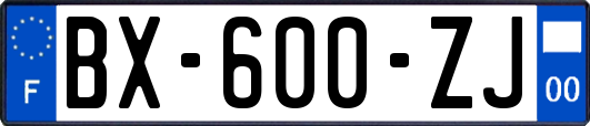 BX-600-ZJ