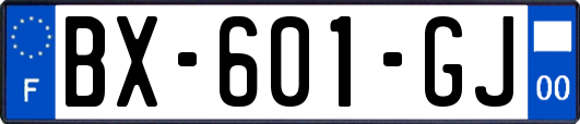 BX-601-GJ