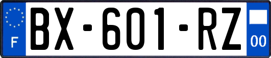 BX-601-RZ