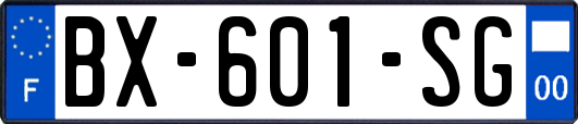 BX-601-SG