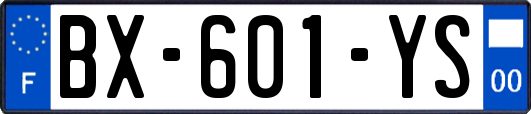 BX-601-YS