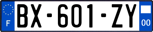 BX-601-ZY
