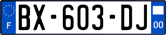 BX-603-DJ