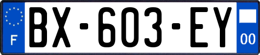 BX-603-EY