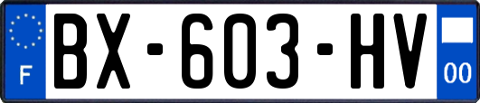 BX-603-HV