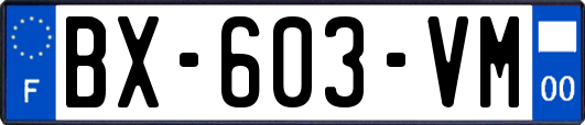 BX-603-VM