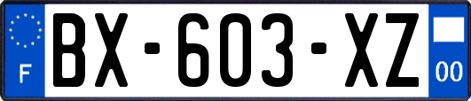 BX-603-XZ