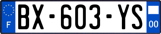 BX-603-YS