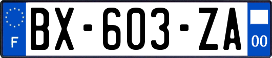 BX-603-ZA