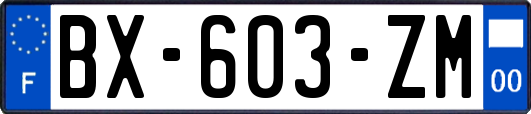 BX-603-ZM