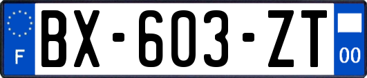 BX-603-ZT