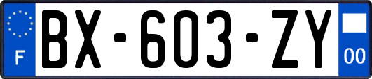 BX-603-ZY
