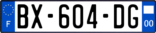 BX-604-DG