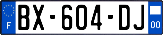 BX-604-DJ