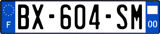 BX-604-SM