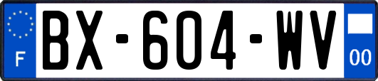 BX-604-WV